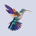 VPN HBird MOD APK icon