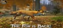 Ultimate Fox Simulator 2 MOD APK icon