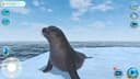 Seal Island MOD APK icon