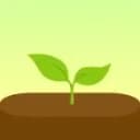 Forest MOD APK icon